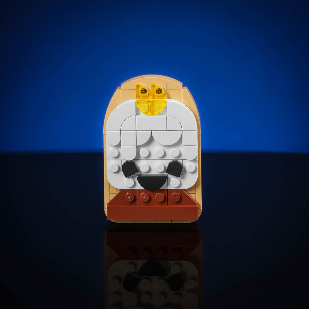 Ornements de biscuits au sucre